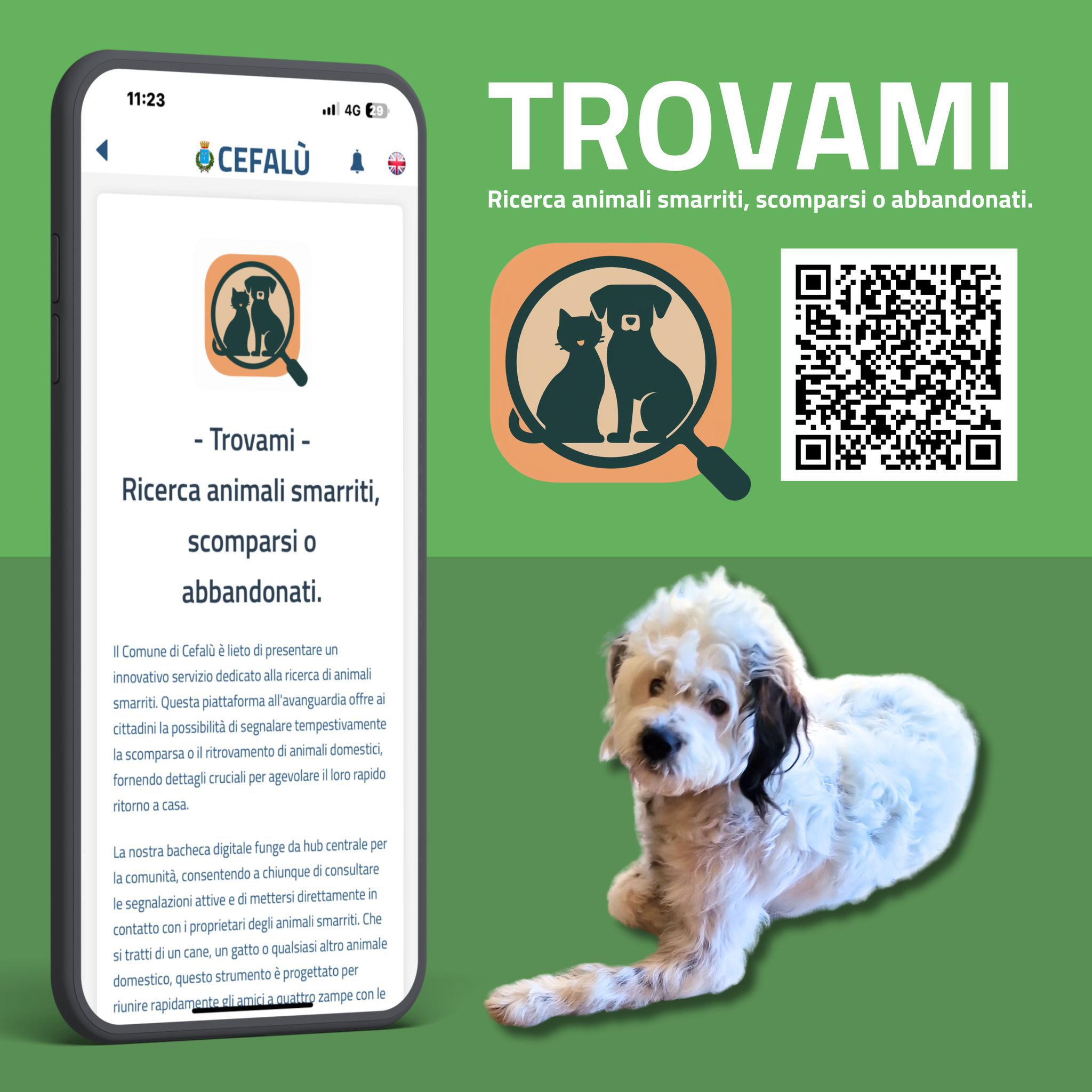 "Trovami": il servizio che riunisce famiglie e animali domestici